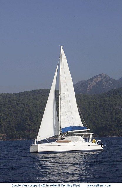 Leopard 40