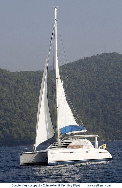 Leopard 40