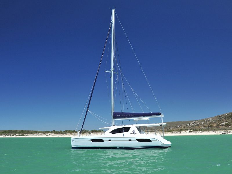 Leopard 44