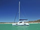 Leopard 44