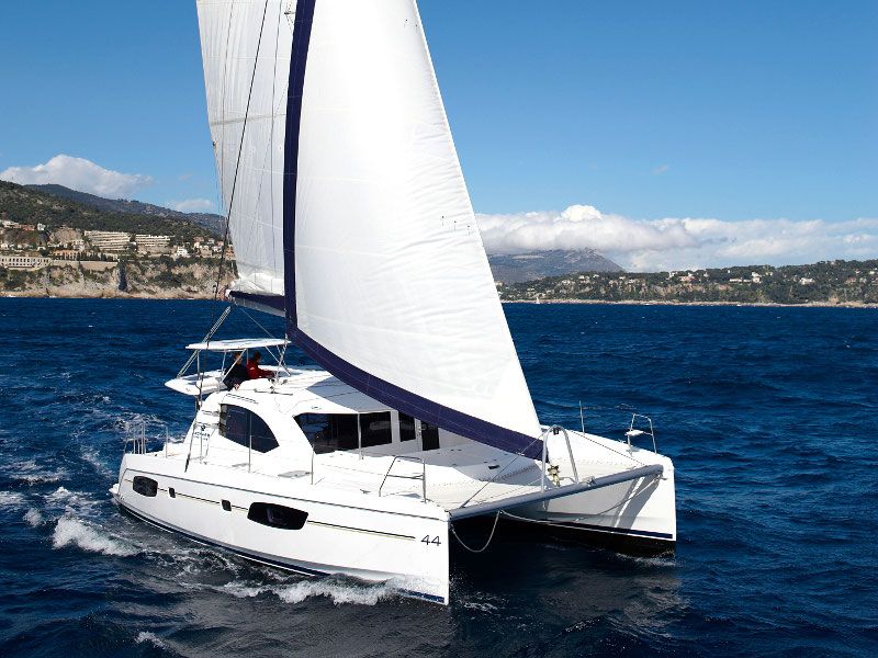 Leopard 44