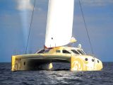 Ambercat 210