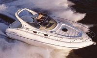 Salpa 315