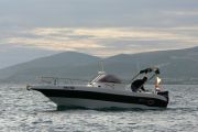 Seabird 655