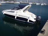Salpa 205