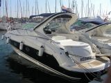 Salpa 385