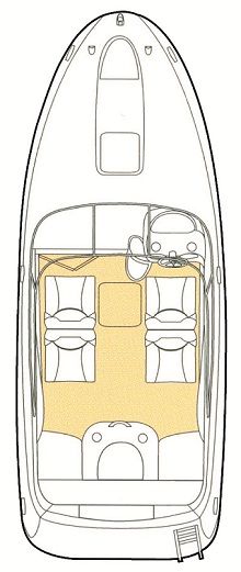 Glastron GS 219