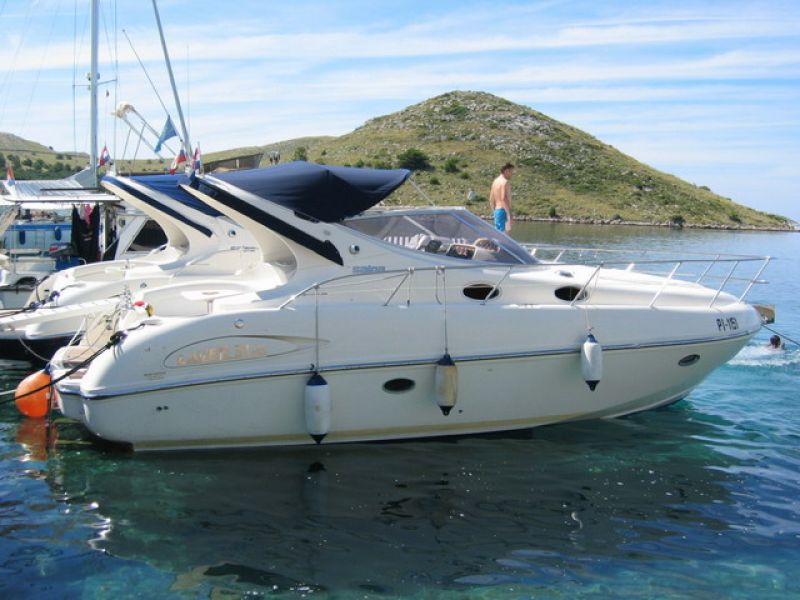 Salpa 315