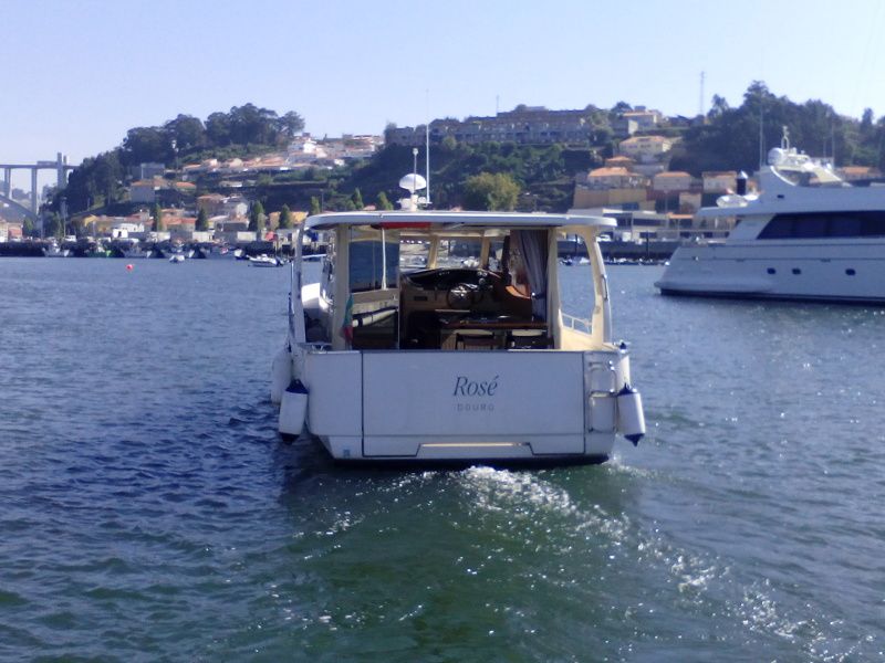 Greenline 33