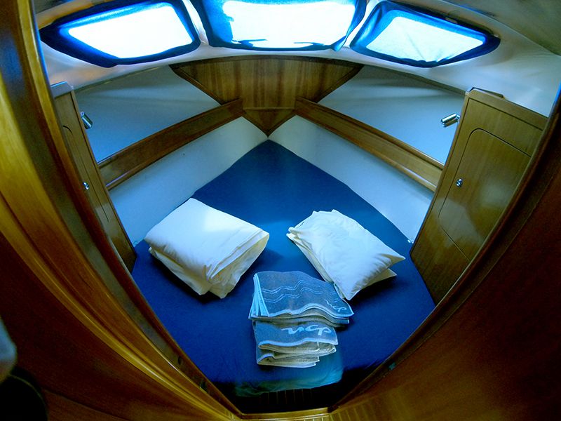 Adria Vektor 1002