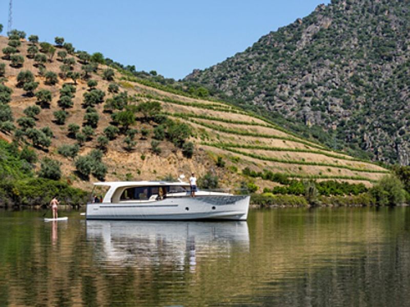 Greenline 40