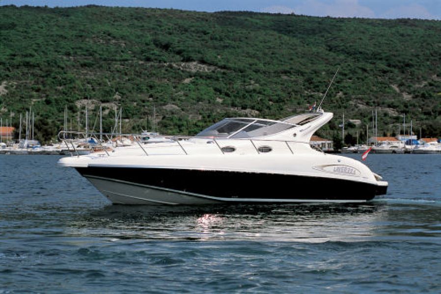 Salpa 325