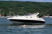 Salpa 325