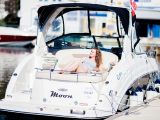 Chaparral 250 Signature