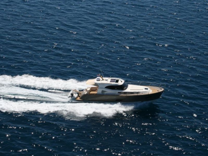 Monachus ISSA 45