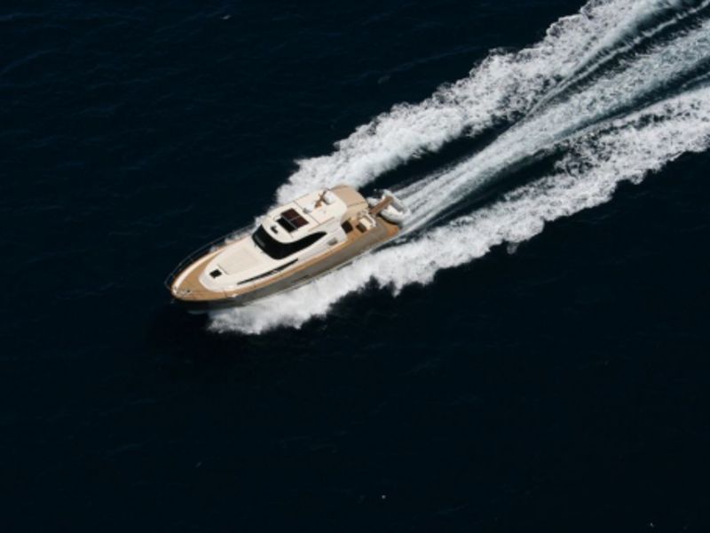 Monachus ISSA 45
