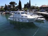 Damor 800