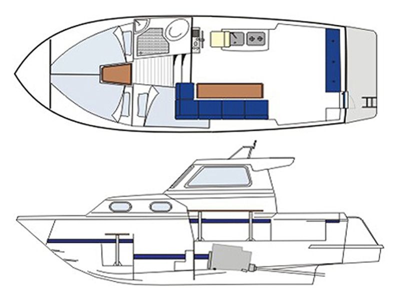 Damor 800