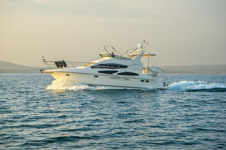 CRUISERS 395