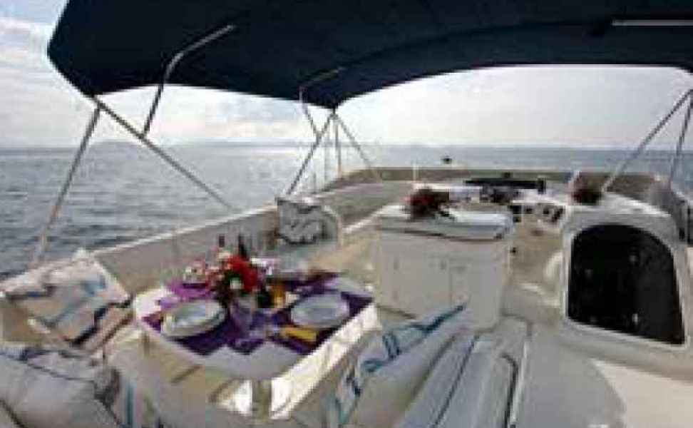 Princess 65