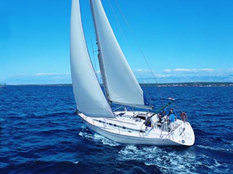 VEKTOR 401