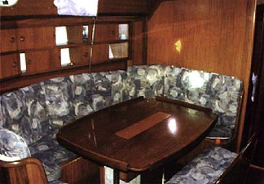 Delphia 31