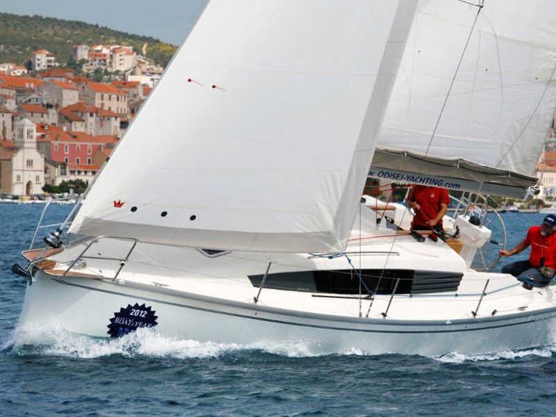 Delphia 31
