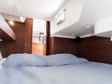Delphia 31