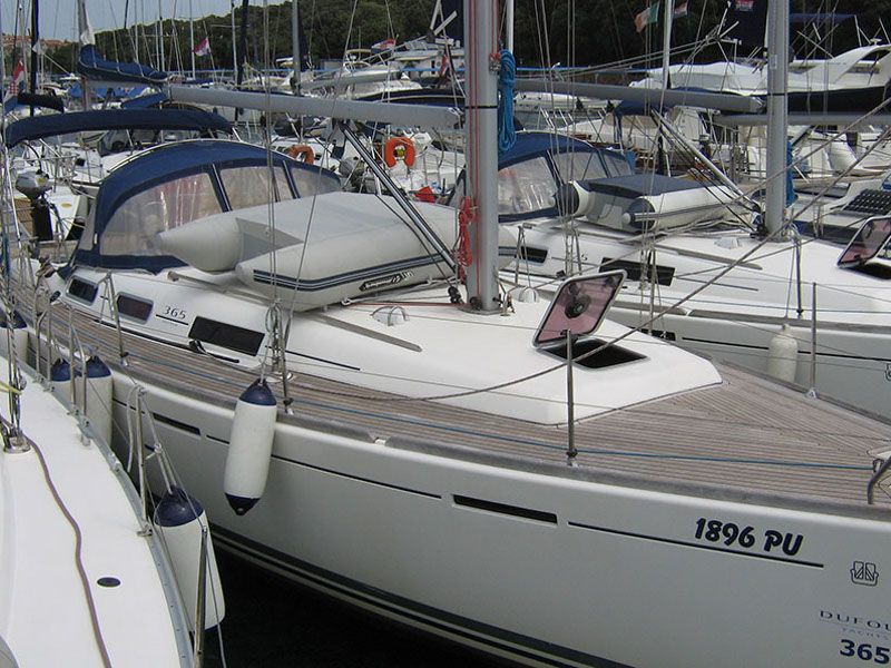 Leopard 43