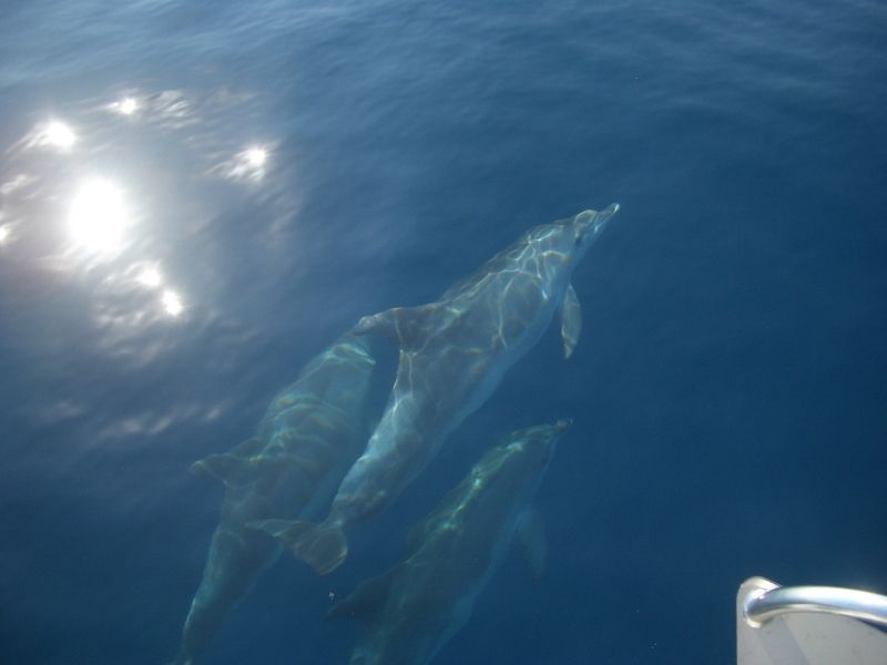 Oceanis 40 