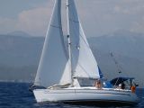 Bavaria 36 (3)