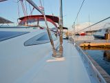 Delphia 37