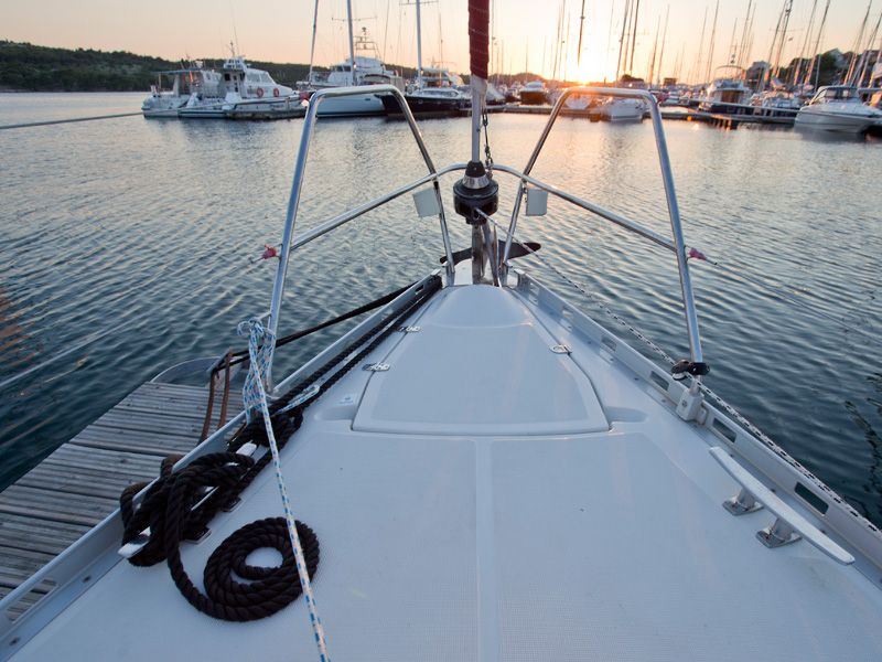 Delphia 37