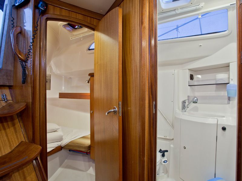 Delphia 37