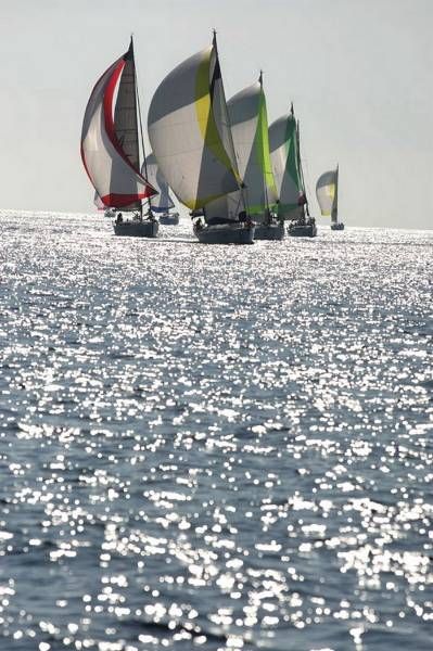 Bavaria 47 Cruiser