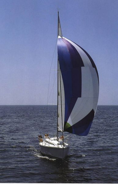 Elan 29596