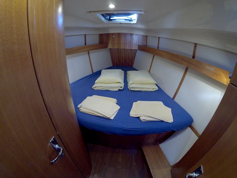 Elan 384 Impression