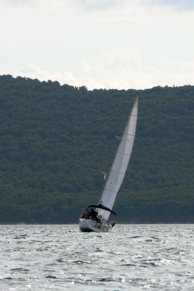 Elan 333