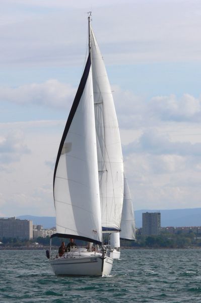 Elan 333