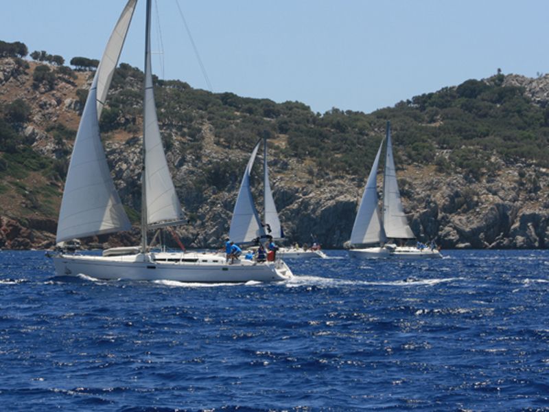 Sun Odyssey 49