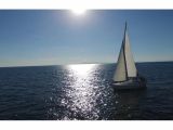 Bavaria 37