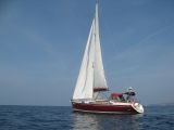 Delphia 40