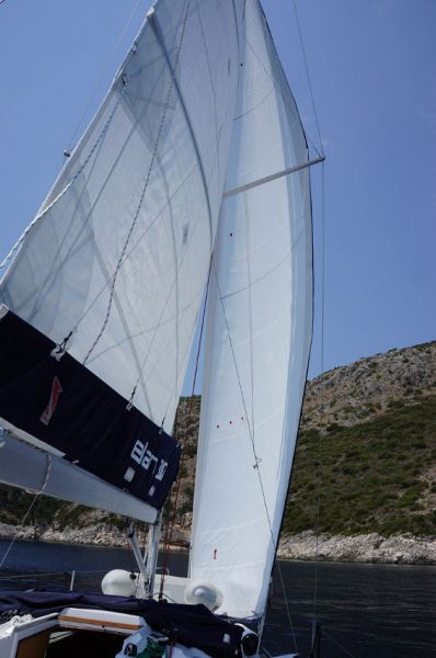 Elan 310 Performance