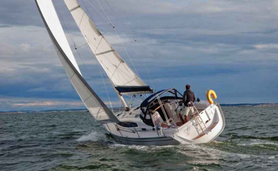 Delphia 33
