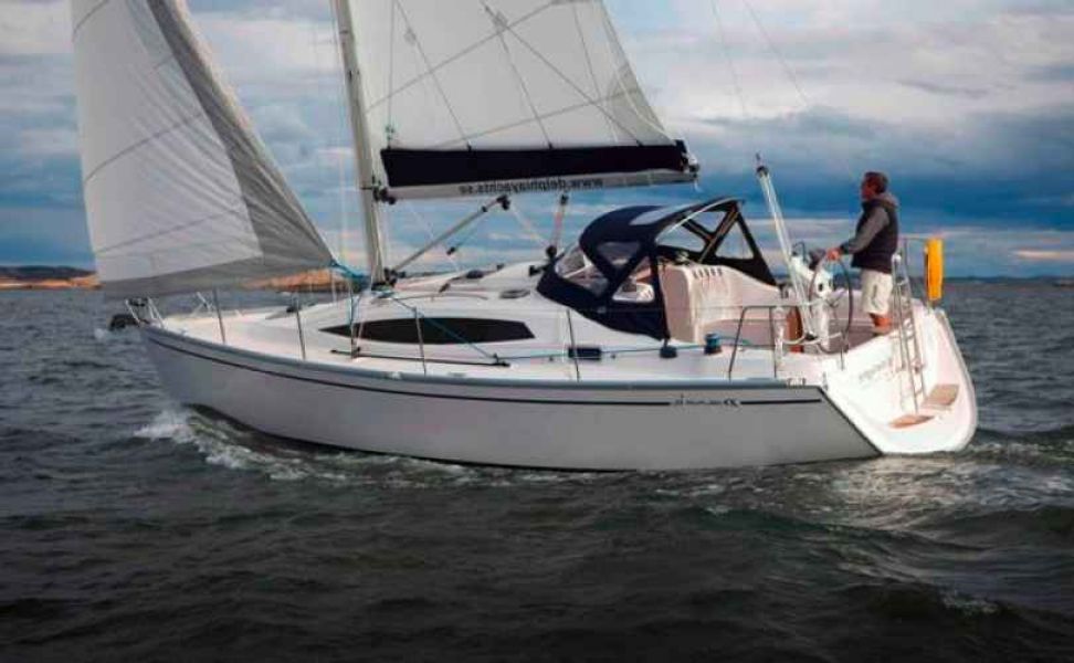 Delphia 33