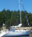 Bavaria 36