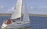 DELPHIA 29