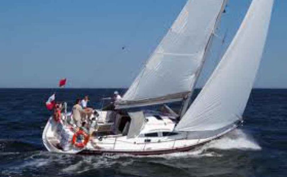 Delphia 40.2