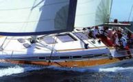 Elan 431