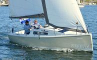 Pointer 25